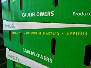 Freshpoint Cauliflower boxes for export